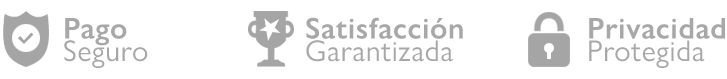 pago-seguro-2.png-2